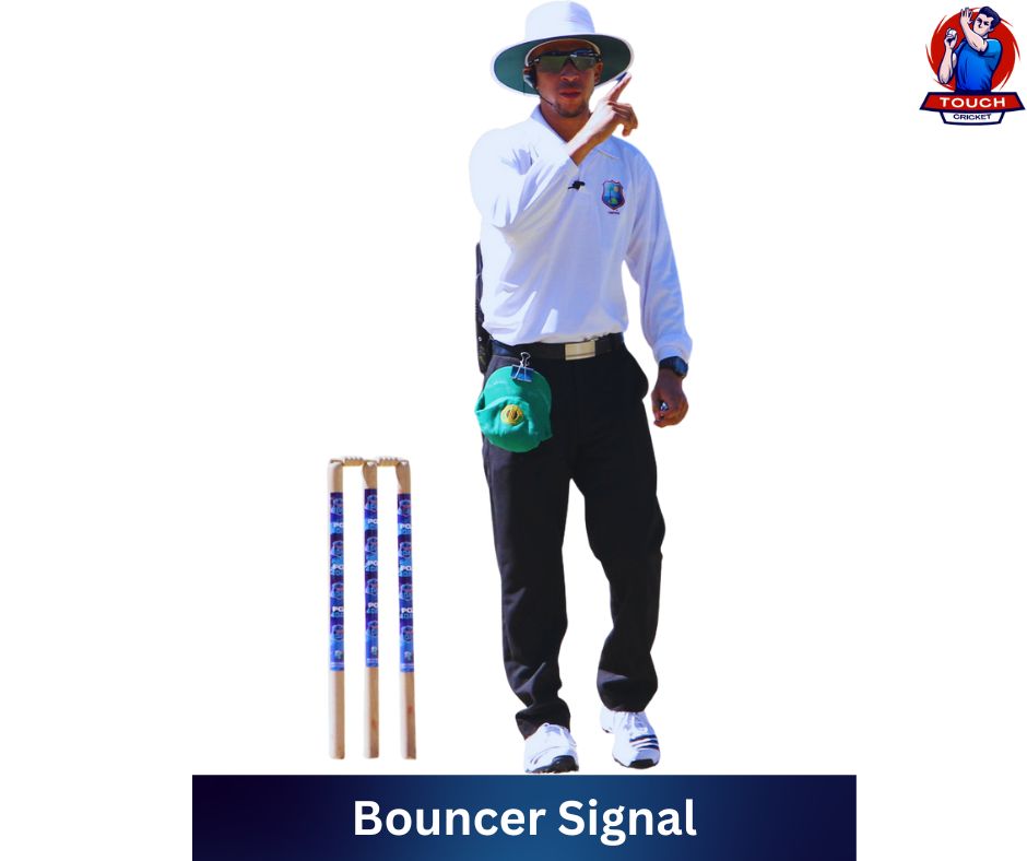 Cricket Umpire Signals